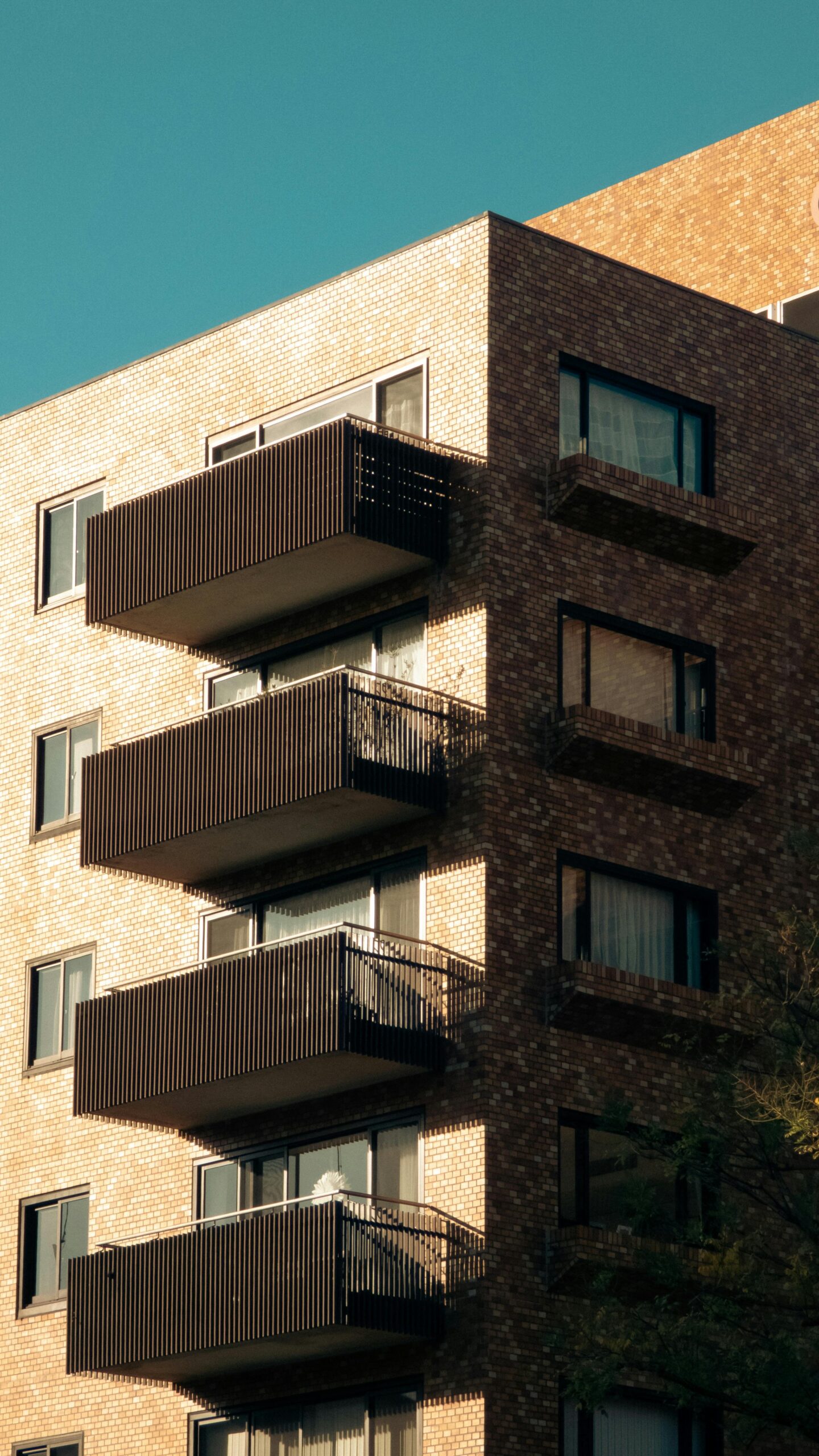 pexels muharrem alper 428087426 35187099